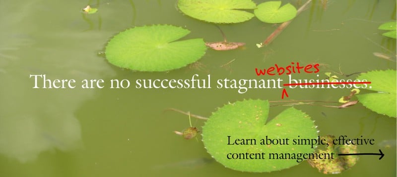 Content Management System slide