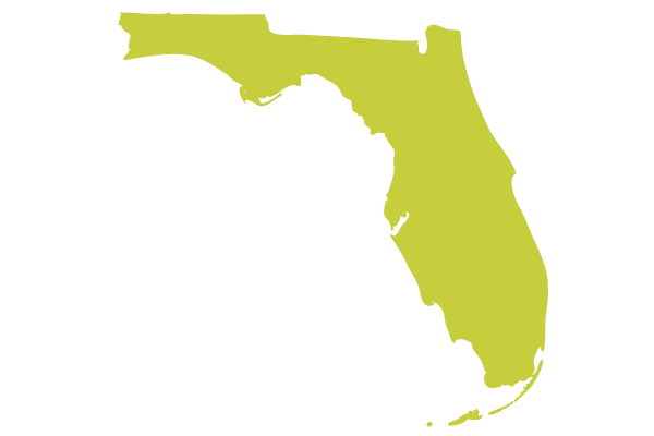 IT companies in south Florida
